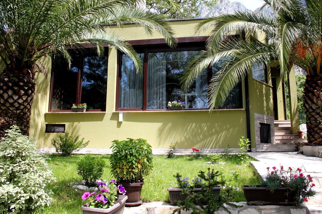Silence Villa Kotor Exterior photo